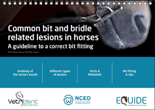 Booklet Bit-related lesions + bitfitting