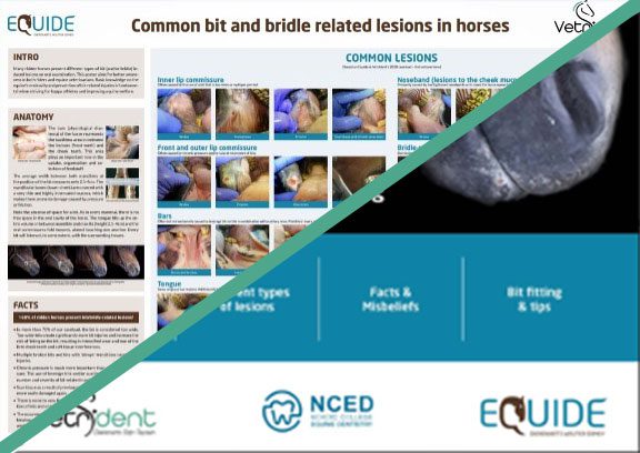 Combo Poster + Booklet